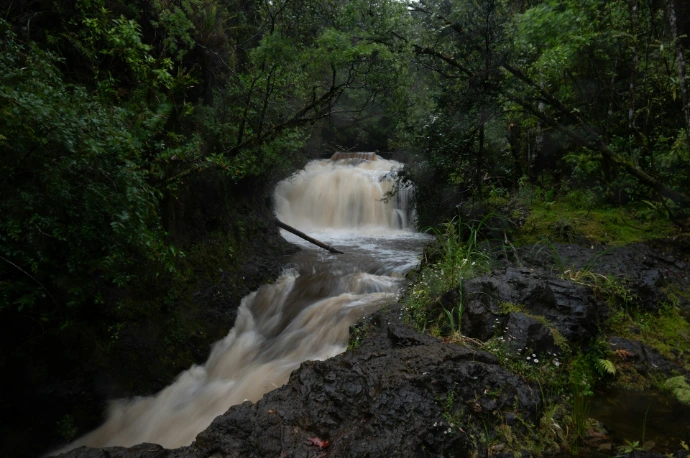 a small waterfall in the middle of a forest